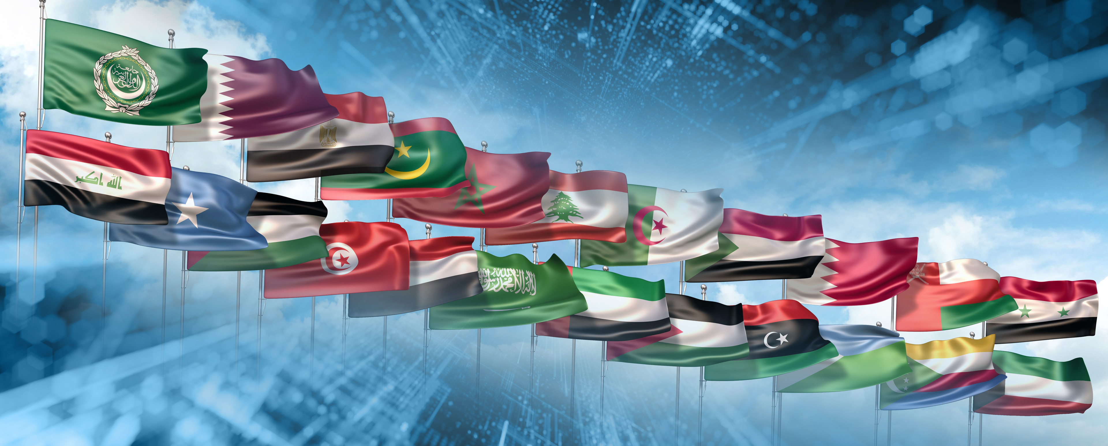 تقرير حالة الإدارة الحكومية العربية: التحول الرقمي